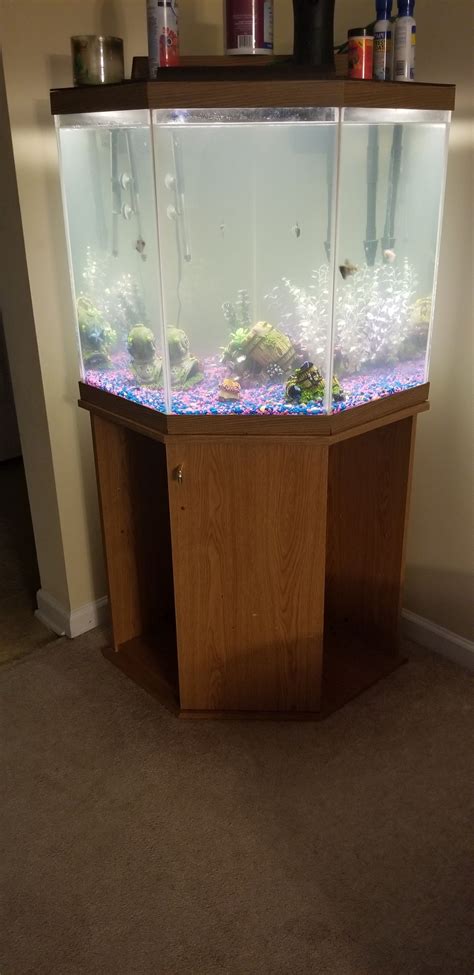 frog fish|44 Gallon Pentagon tank .